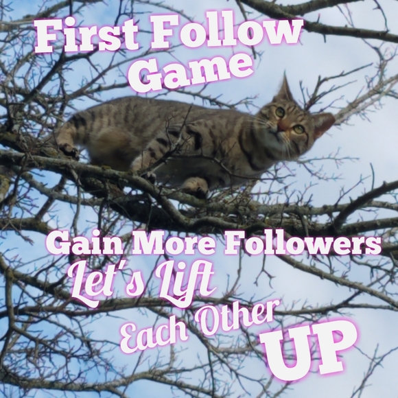 #1 Follow Game - Picture 6 of 7